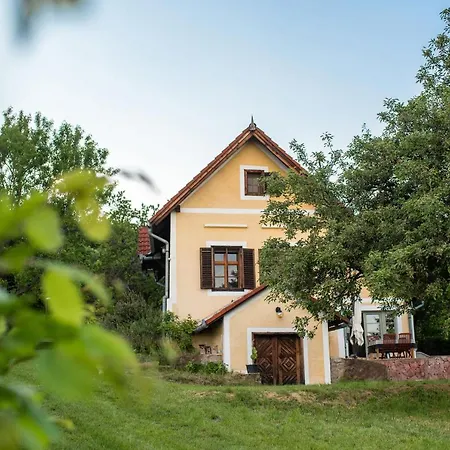 Panoramas Vincellerhaz - *